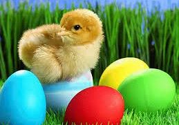 Grafika 1: Caritas z Załakowa nie zawiódł