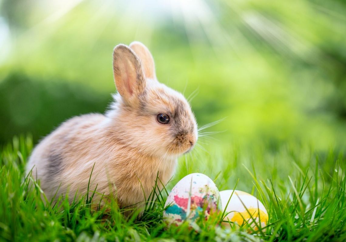 Grafika 1: Życzenia Wielkanocne