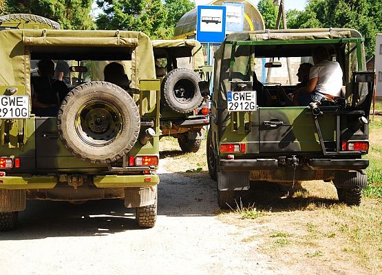 Grafika 9: Piknik Militarny