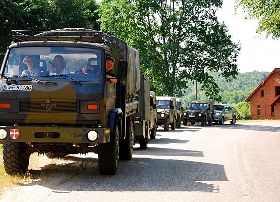 Grafika 8: Piknik Militarny