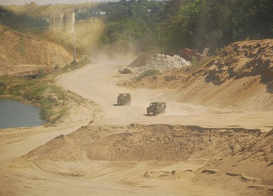 Grafika 3: Piknik Militarny