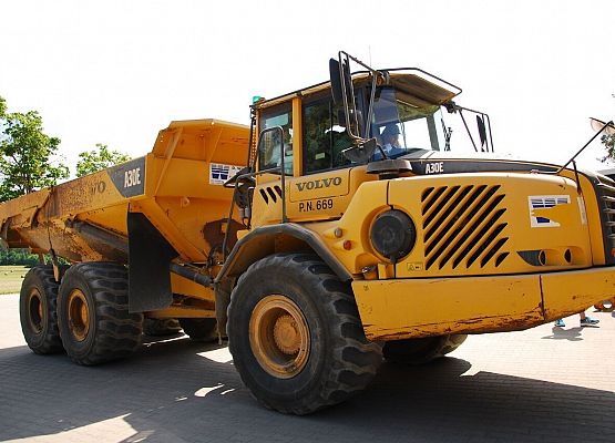 Grafika 1: Piknik Militarny