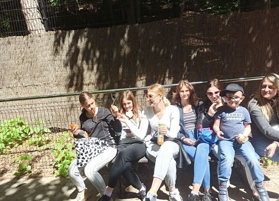 Grafika 1: Wycieczka do ZOO