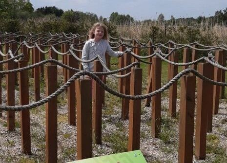 Grafika 11: Wycieczka do Łeby "Siedlisko"