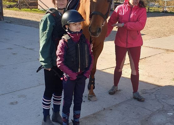 Grafika 1: Konie… nasza pasja, miłość