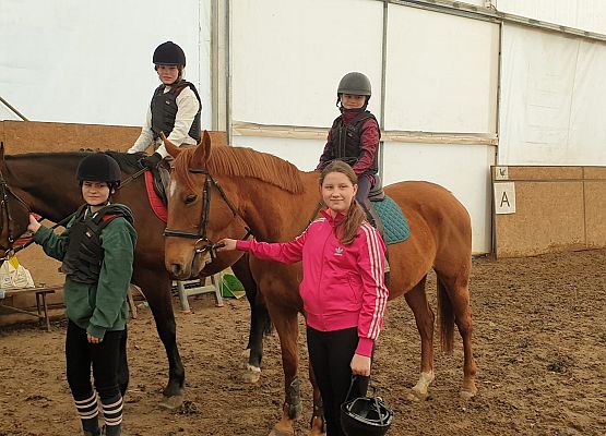 Grafika 3: Konie… nasza pasja, miłość