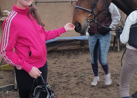 Grafika 5: Konie… nasza pasja, miłość