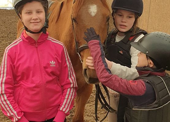 Grafika 7: Konie… nasza pasja, miłość