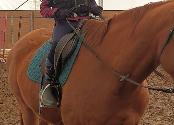 Grafika 10: Konie… nasza pasja, miłość