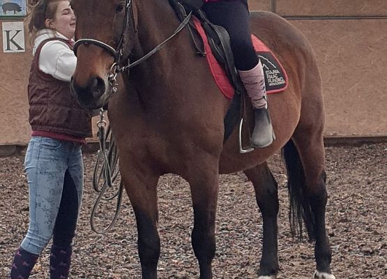 Grafika 11: Konie… nasza pasja, miłość