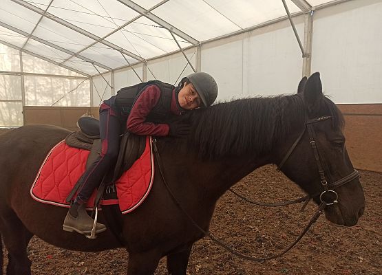 Grafika 13: Konie… nasza pasja, miłość