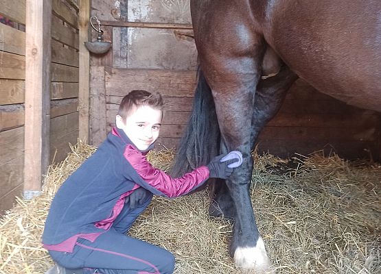 Grafika 16: Konie… nasza pasja, miłość