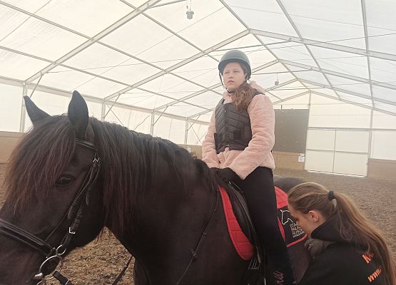 Grafika 17: Konie… nasza pasja, miłość