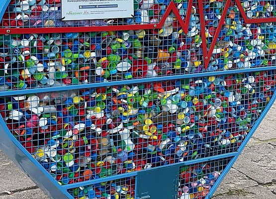 Grafika 5: My też Pomagamy - "Niebieski Skarb"