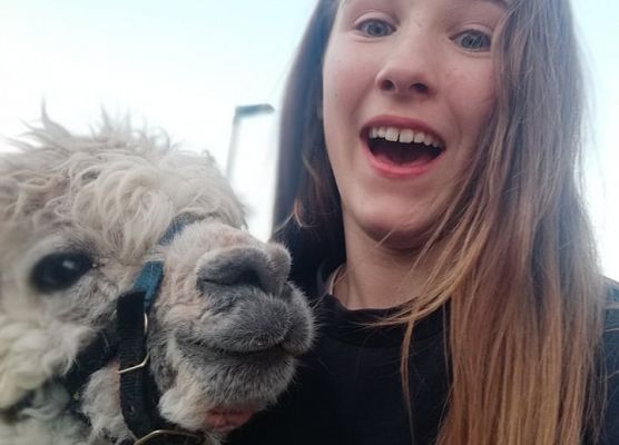 Grafika 3: "Pomorskie Dzieciom" - Alpakoterapia