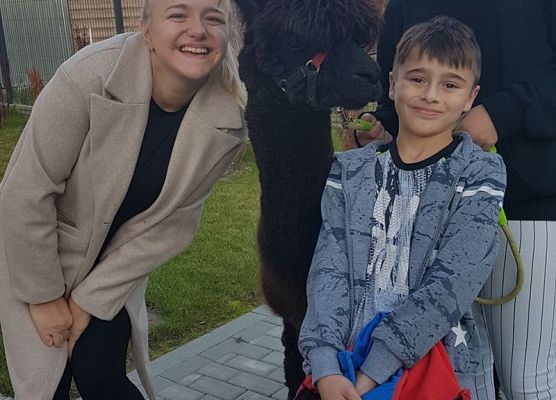 Grafika 10: "Pomorskie Dzieciom" - Alpakoterapia