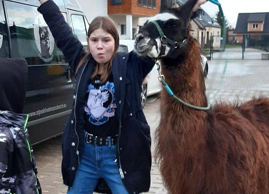 Grafika 1: Alpakoterapia w ramach "Pomorskie Dzieciom"