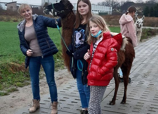 Grafika 6: Alpakoterapia w ramach "Pomorskie Dzieciom"