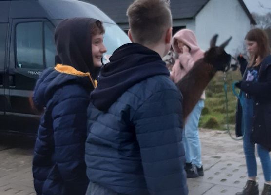 Grafika 7: Alpakoterapia w ramach "Pomorskie Dzieciom"