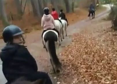 Grafika 1: Weekend w siodle