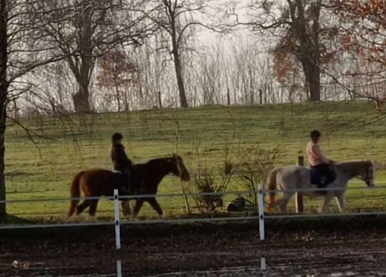 Grafika 3: Weekend w siodle