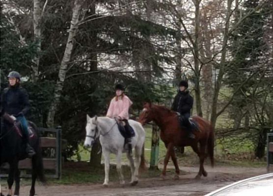 Grafika 4: Weekend w siodle