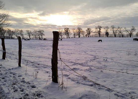 Grafika 5: Weekend w siodle