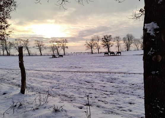 Grafika 7: Weekend w siodle