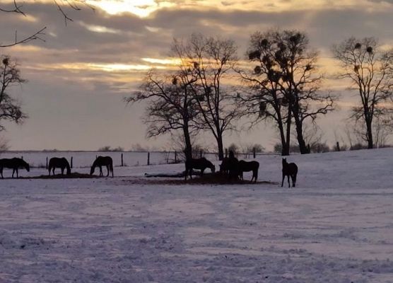 Grafika 8: Weekend w siodle