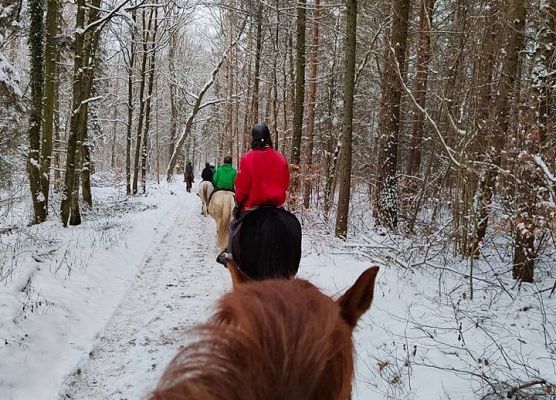 Grafika 9: Weekend w siodle