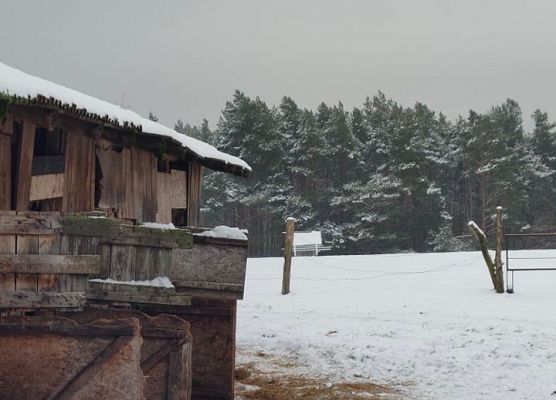 Grafika 10: Weekend w siodle