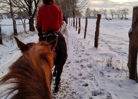 Grafika 11: Weekend w siodle