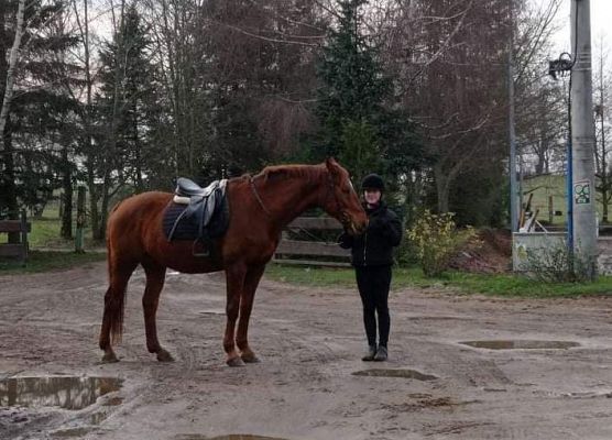 Grafika 12: Weekend w siodle