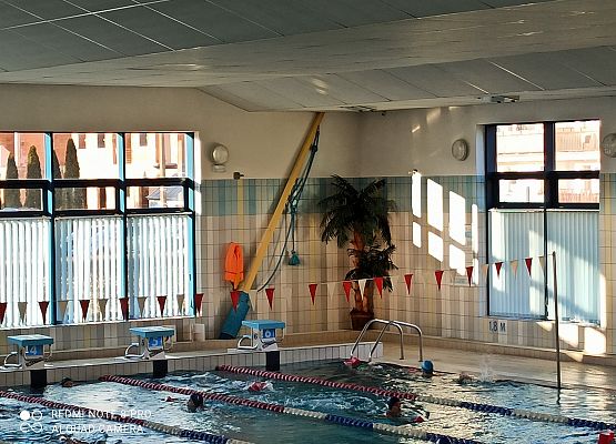 Grafika 2: Basen - CUS