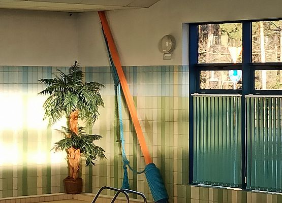 Grafika 3: Basen - CUS