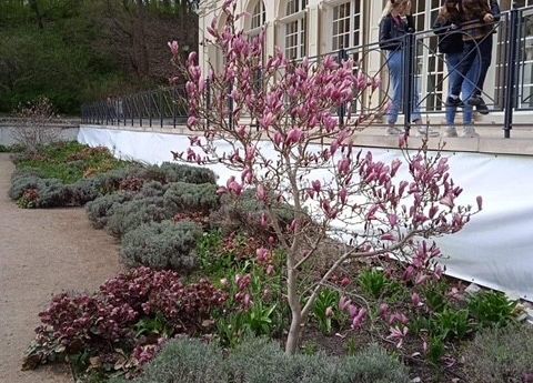 Grafika 22: Wspomnienia z Warszawy