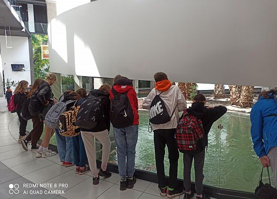 Grafika 5: Aquapark Reda