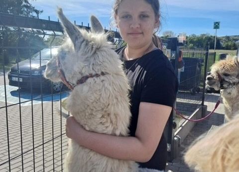 Grafika 1: Alpaki już po raz ostatni