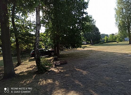 Grafika 6: O wakacjach