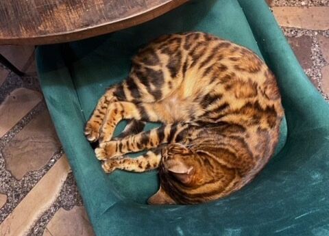 Grafika 18: Weekend "Zakątka" w Toruniu