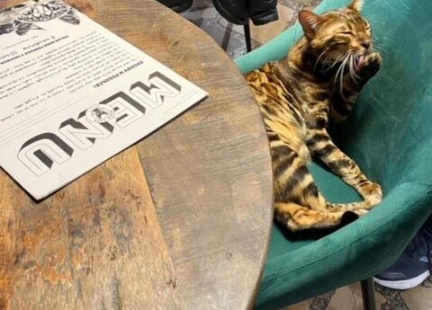 Grafika 19: Weekend "Zakątka" w Toruniu