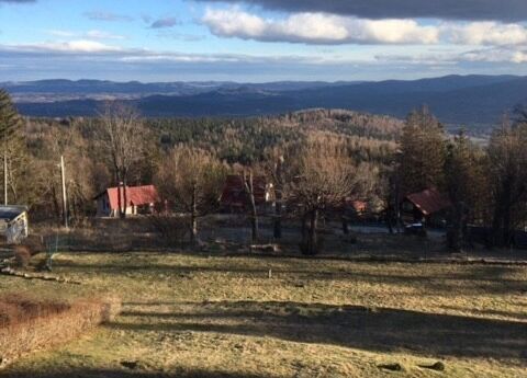 Grafika 2: Zimowisko w Karpaczu