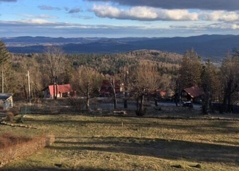 Grafika 3: Zimowisko w Karpaczu