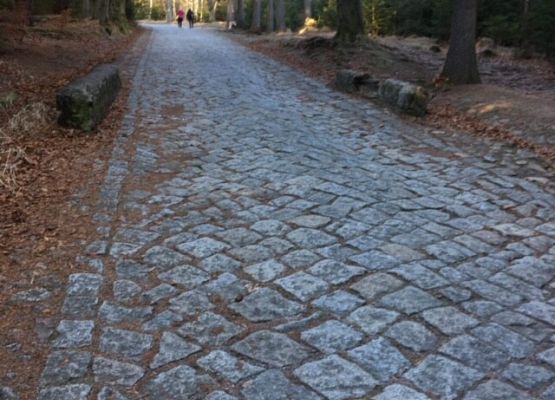 Grafika 5: Zimowisko w Karpaczu