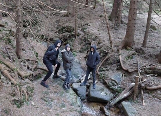 Grafika 9: Zimowisko w Karpaczu