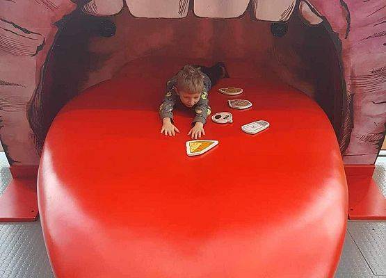 Grafika 11: Eksperyment