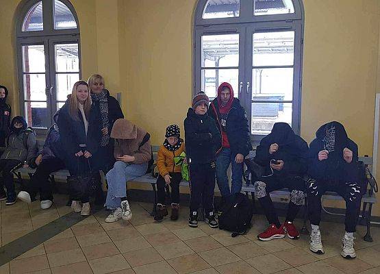 Grafika 14: Eksperyment